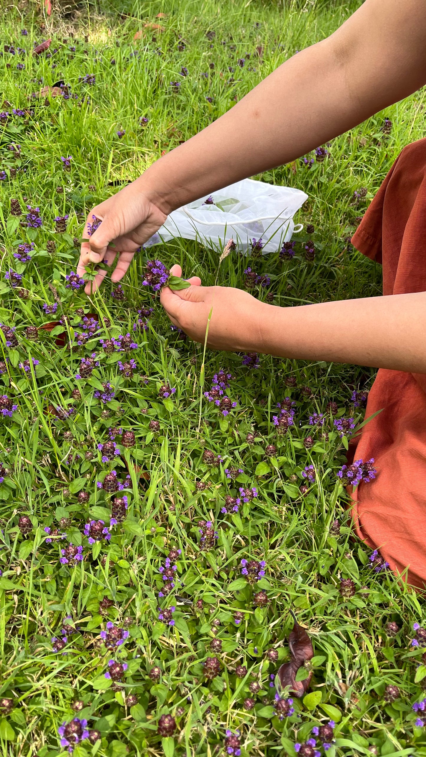 Enchanted Nature Workshop