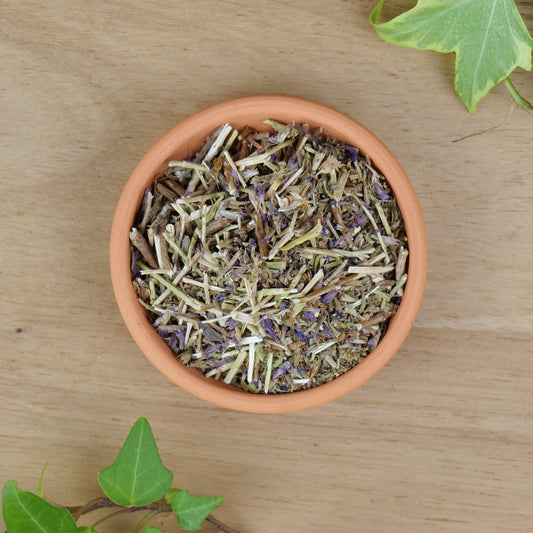 Hyssop (Hyssopus officinalis)