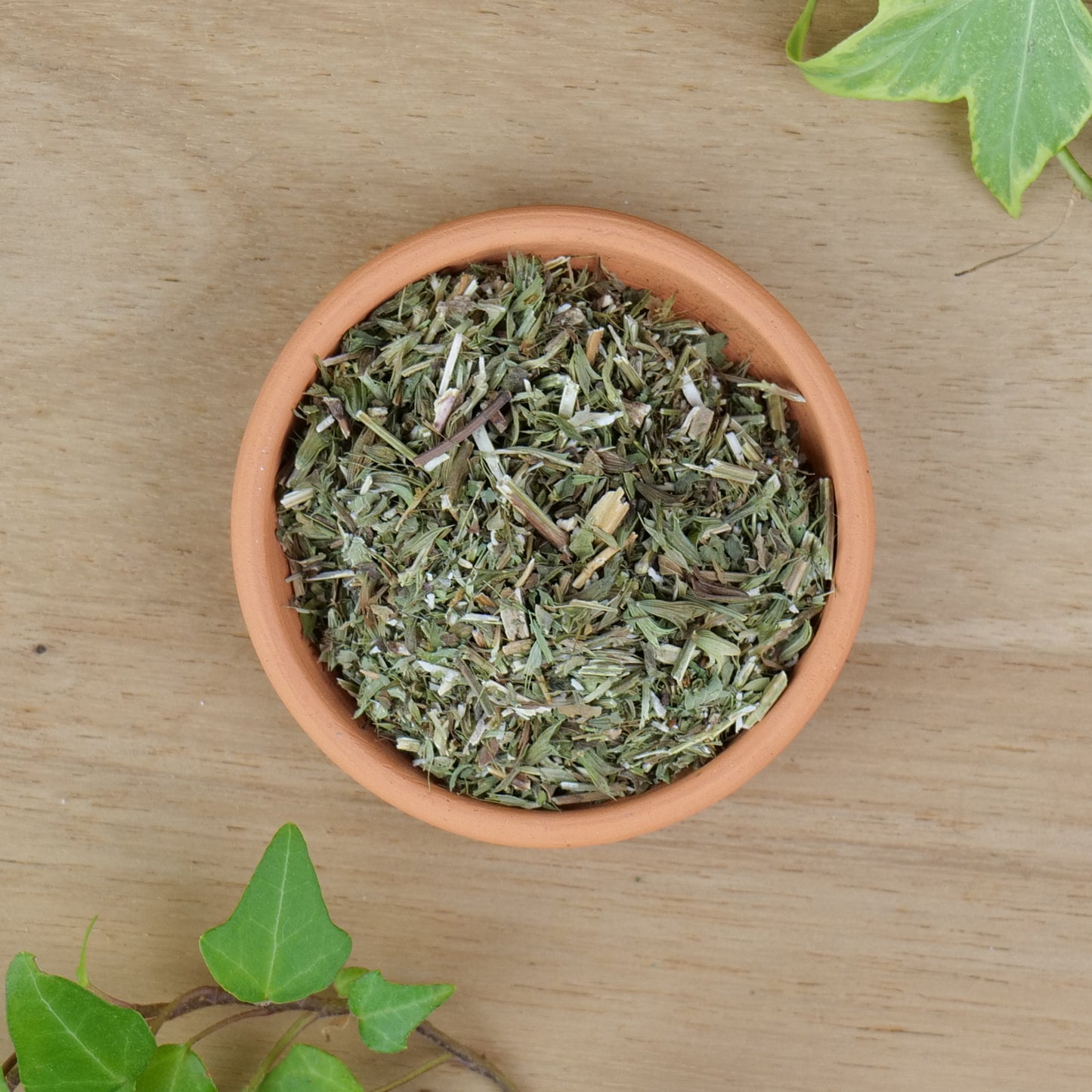 Meadowsweet (Filipendula ulmaria)