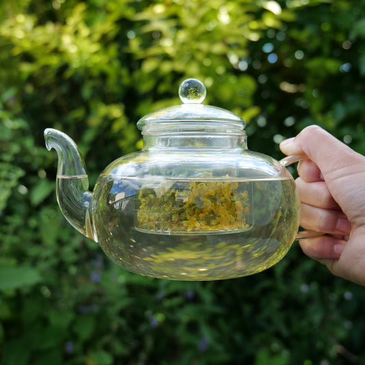 🍵 Understanding the Healing Power of Herbal Teas and Tinctures 🌿