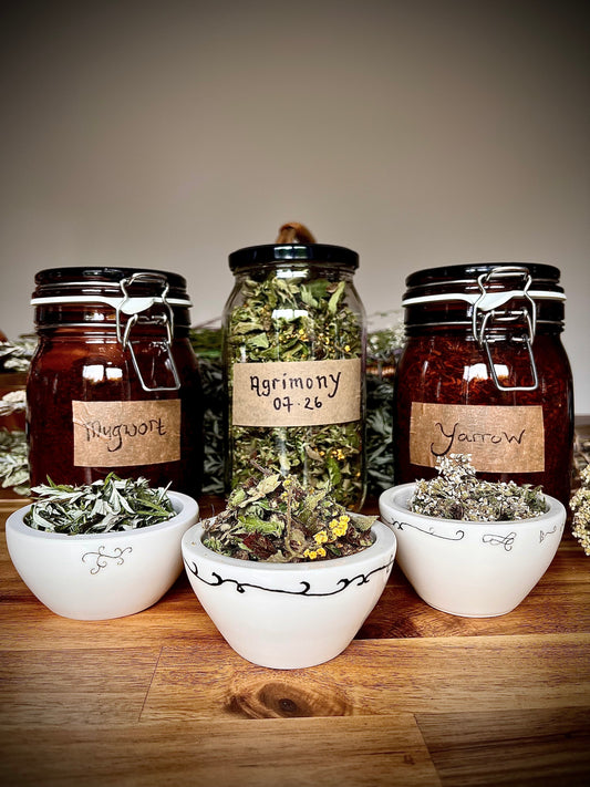 Three Wild Herbs Our Ancestors Couldn't Be Without