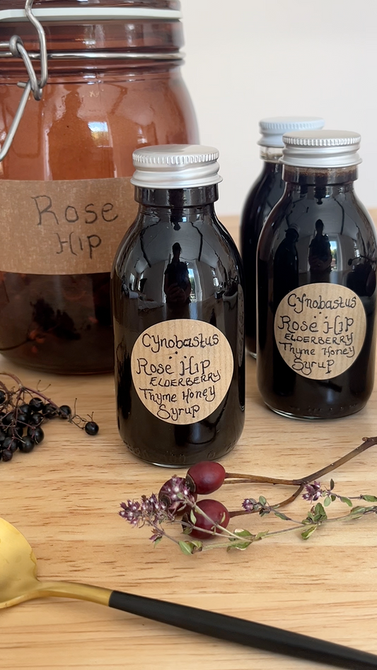 Cynosbastus Apothecary Syrup Recipe