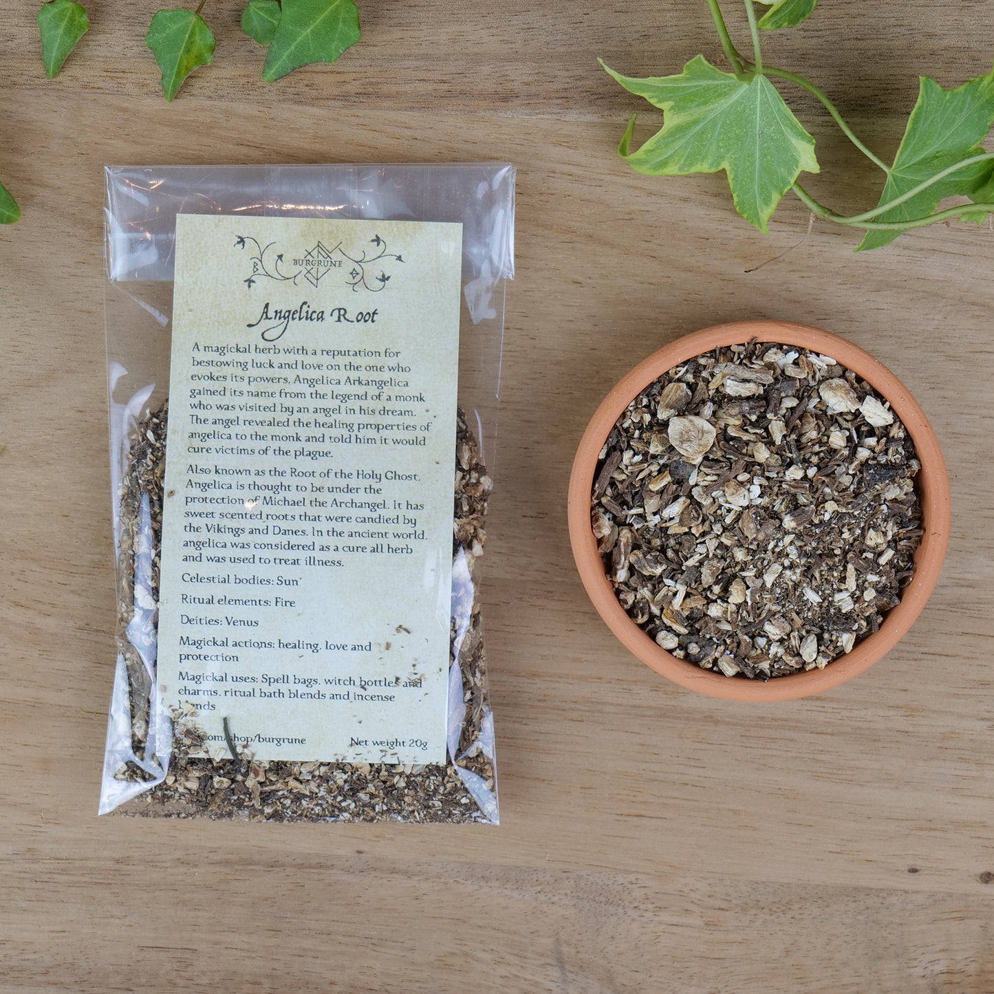 Angelica Root (Angelica archangelica)