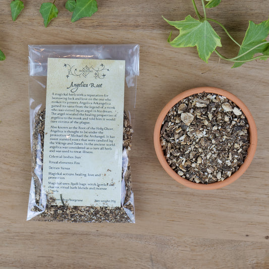 Angelica Root (Angelica archangelica)