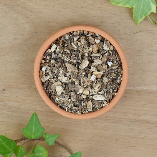 Angelica Root (Angelica archangelica)
