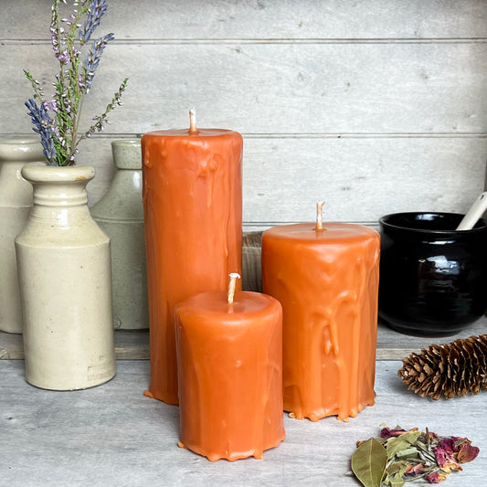 Autumn-Fall Rosehip Pillar Candle