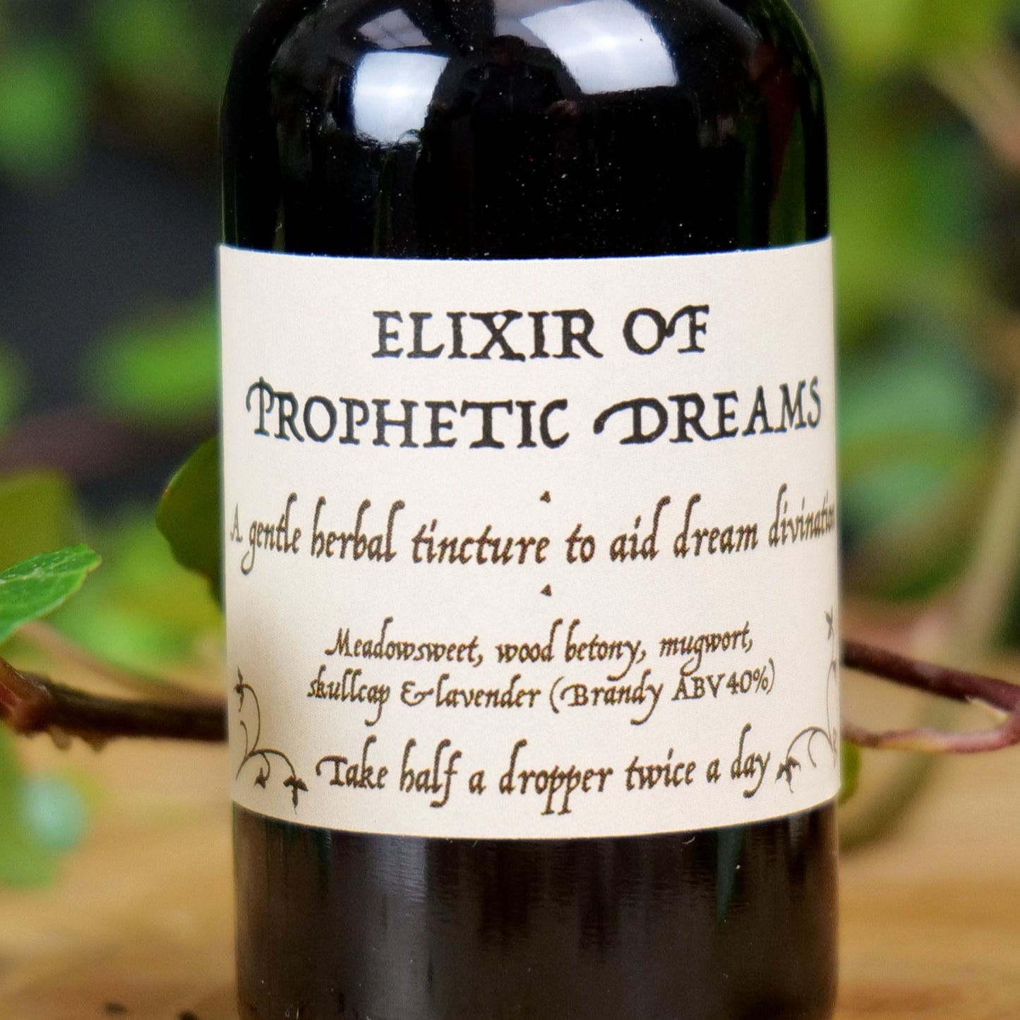 Elixir of Prophetic Dreams • dream work • lavender mugwort • herbal tincture blend