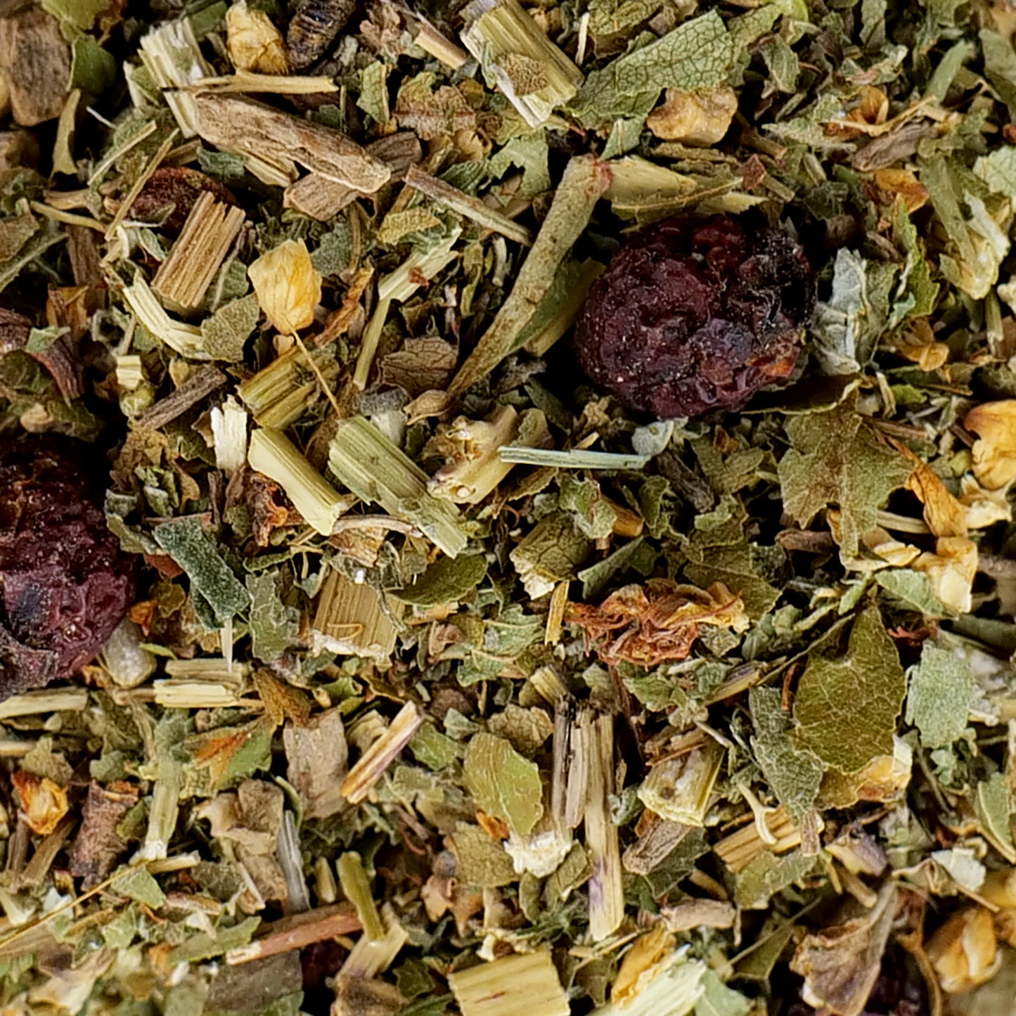 Hedgerow Tea • meditation for ancestral wisdom