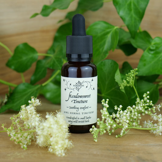 Meadowsweet Tincture • Soothing Comfort