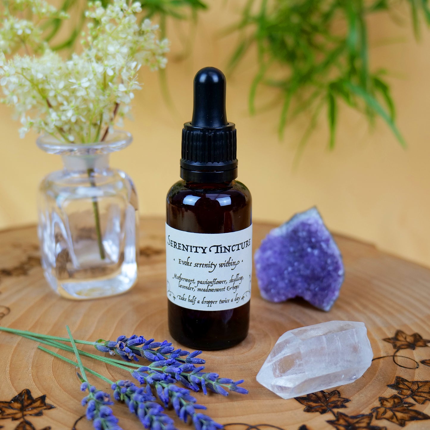 Serenity Tincture • calm and composed • meadowsweet lavender • herbal tincture blend