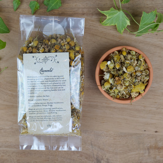 German Chamomile (Matricaria recutita)