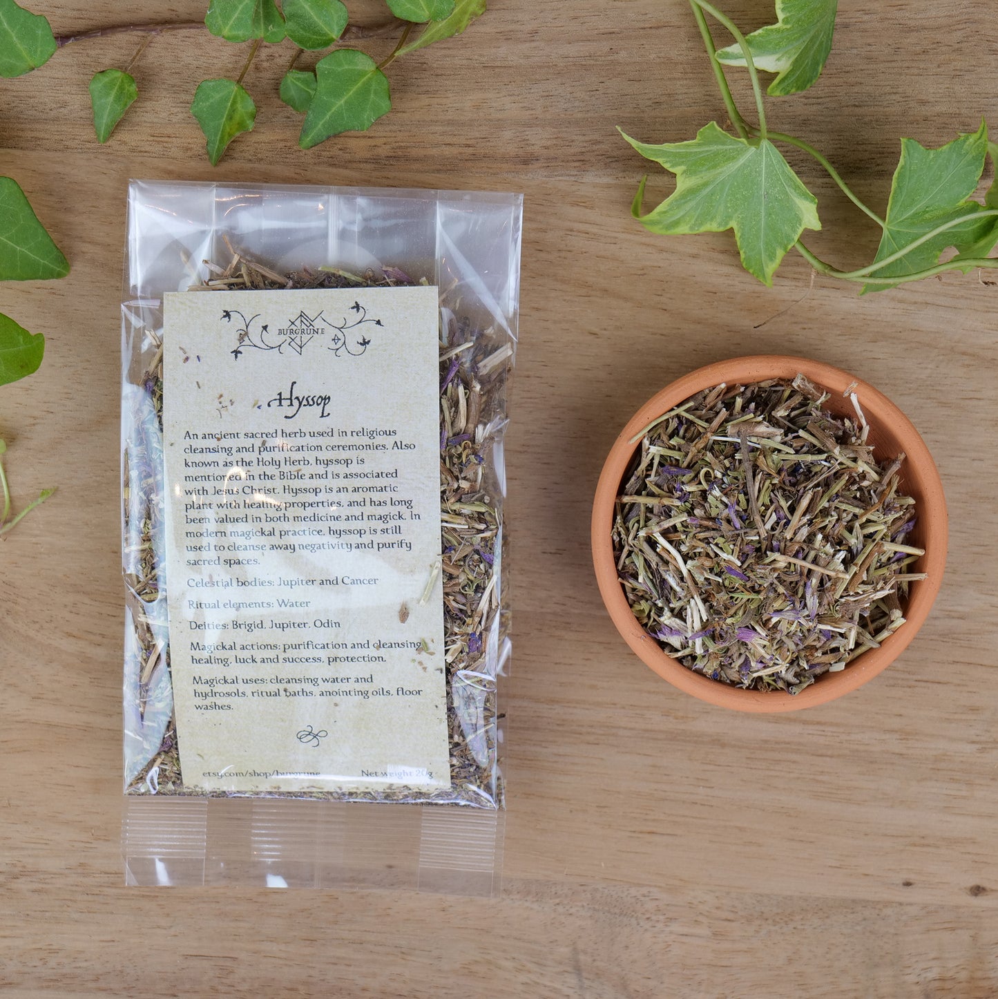 Hyssop (Hyssopus officinalis)