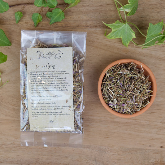 Hyssop (Hyssopus officinalis)