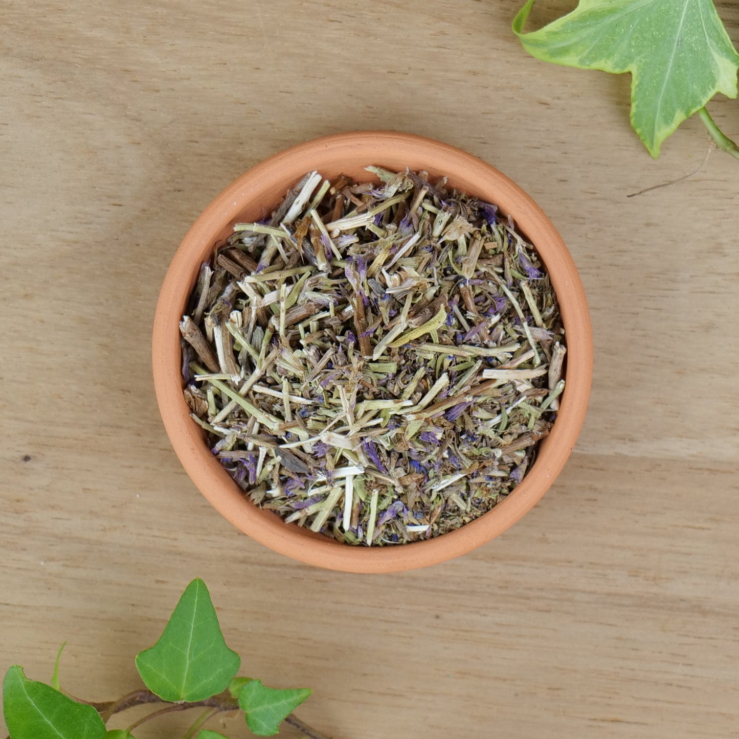 Hyssop (Hyssopus officinalis)