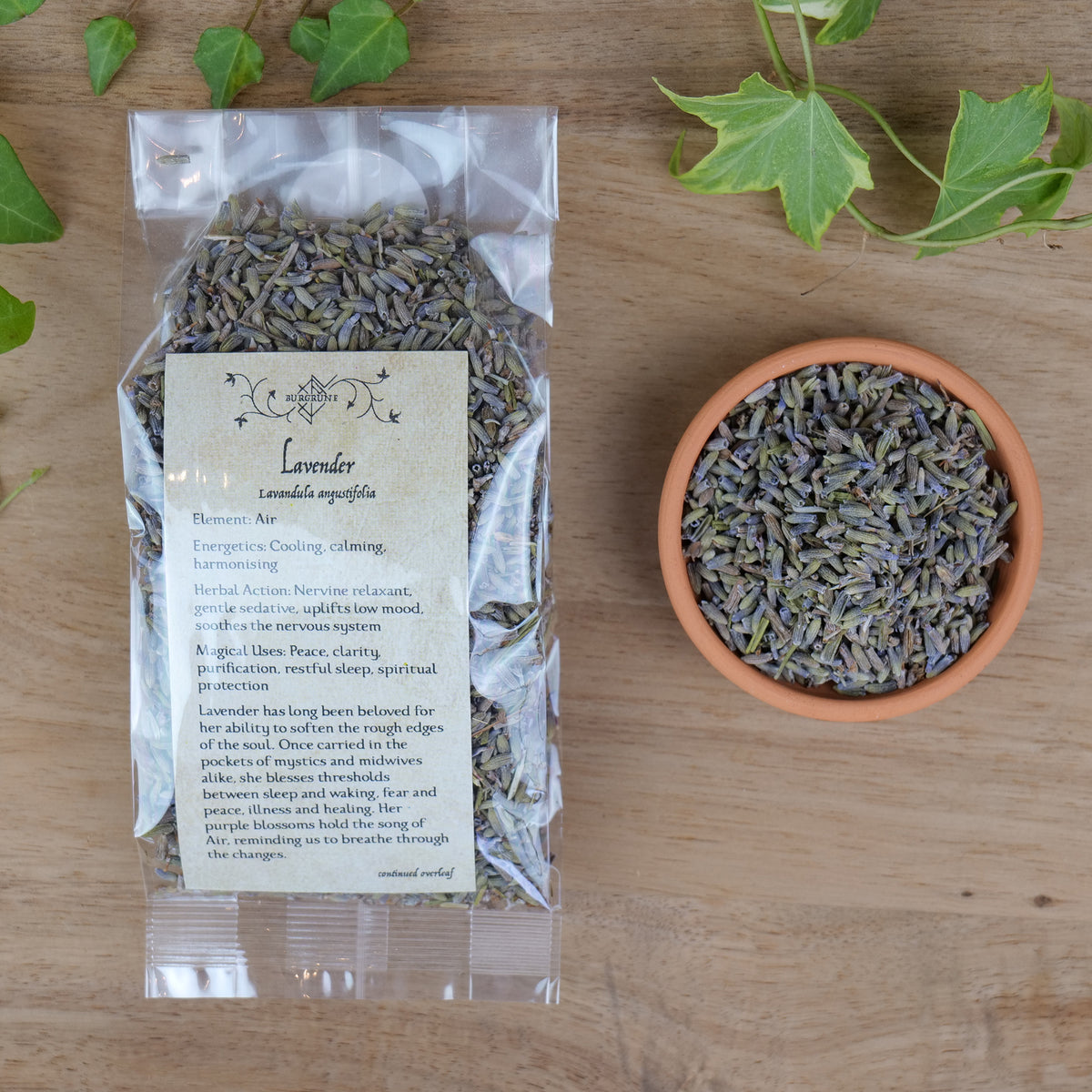 Lavender (Lavendula angustifolia)