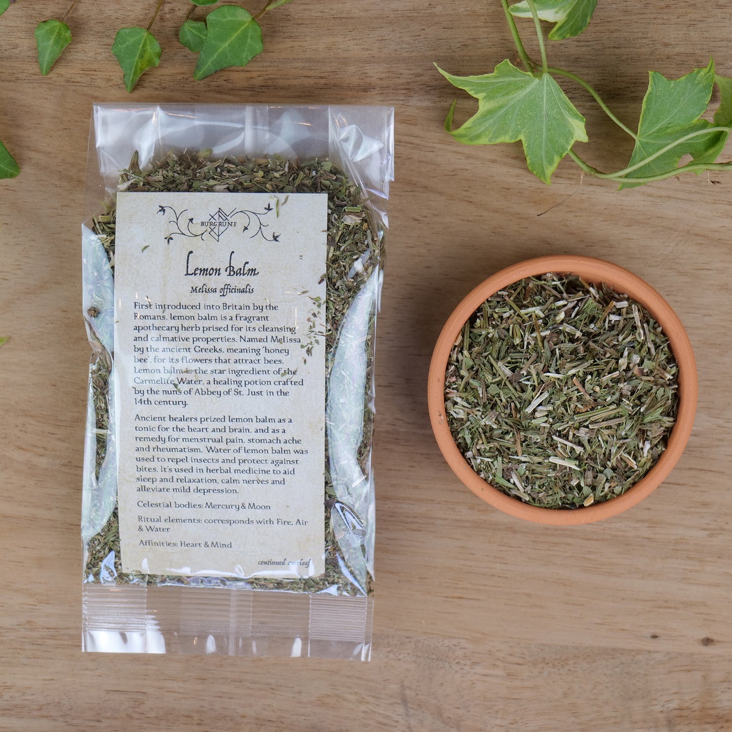 Lemon Balm (Melissa officinalis)