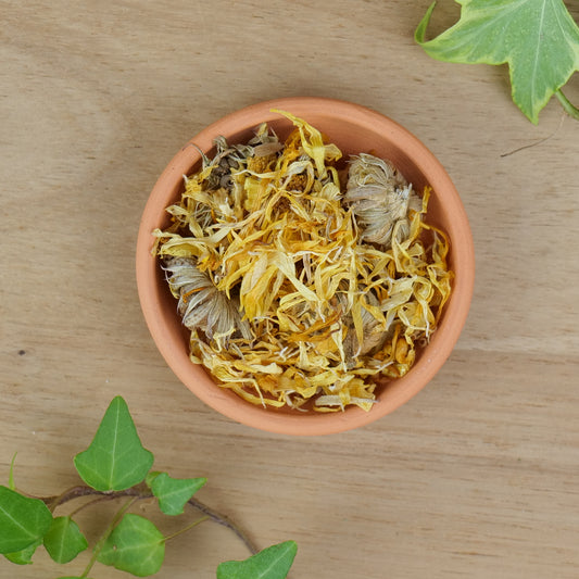 Marigold Flower (Calendula Officinalis)