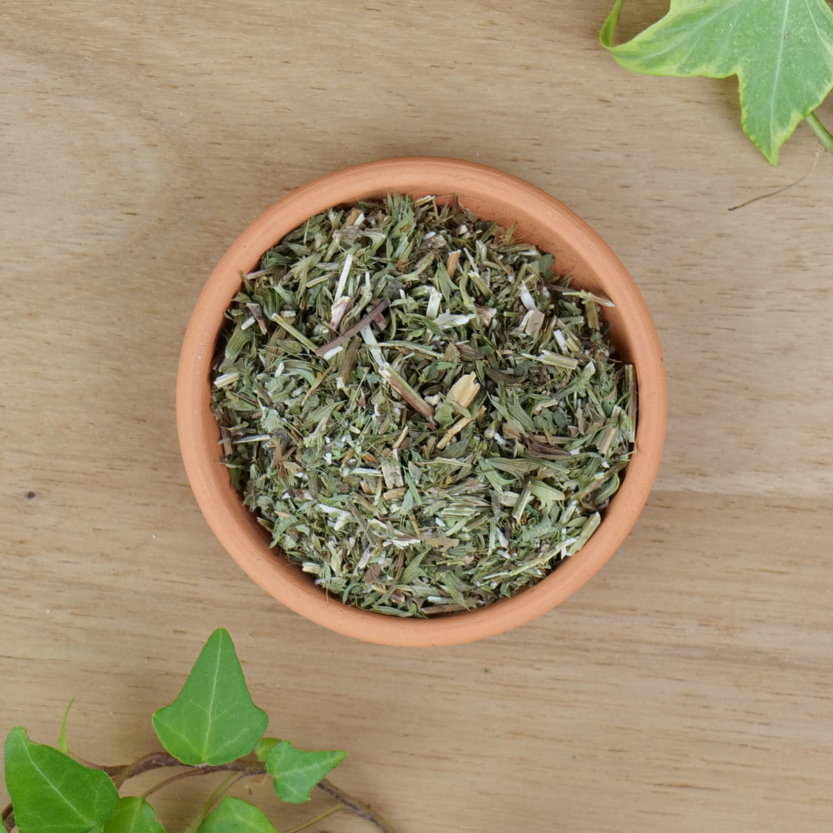Meadowsweet (Filipendula ulmaria)