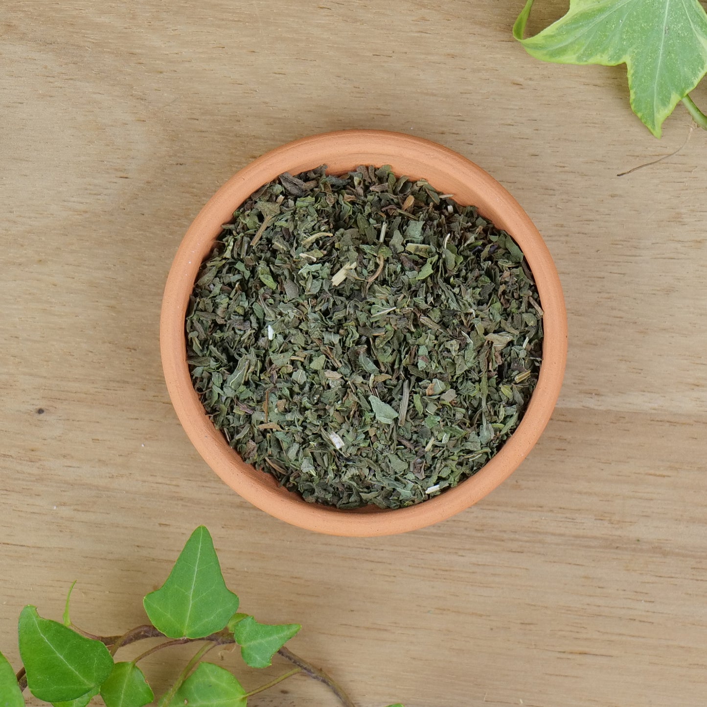 Peppermint (Mentha piperita)