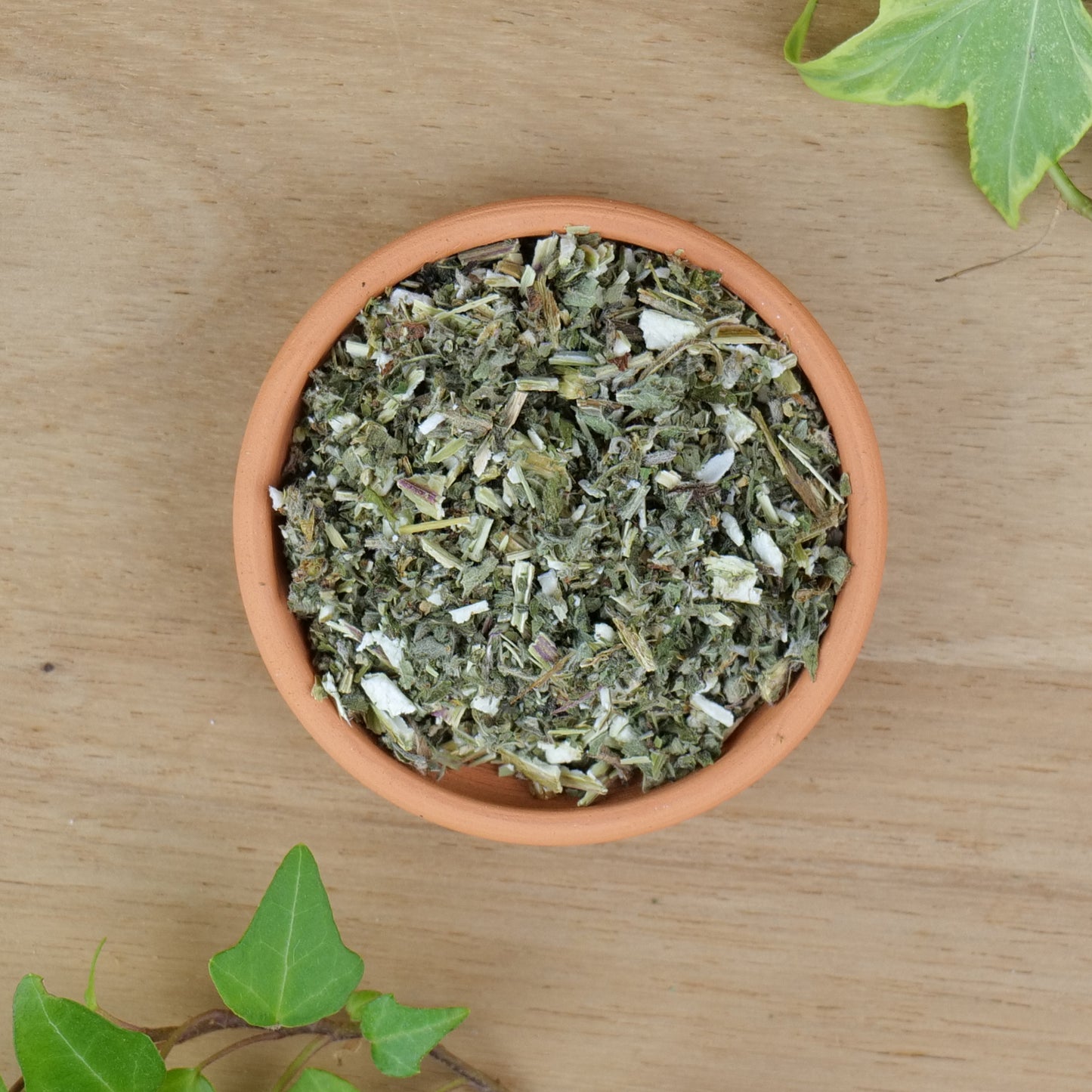 Motherwort (Leonurus cardiaca)
