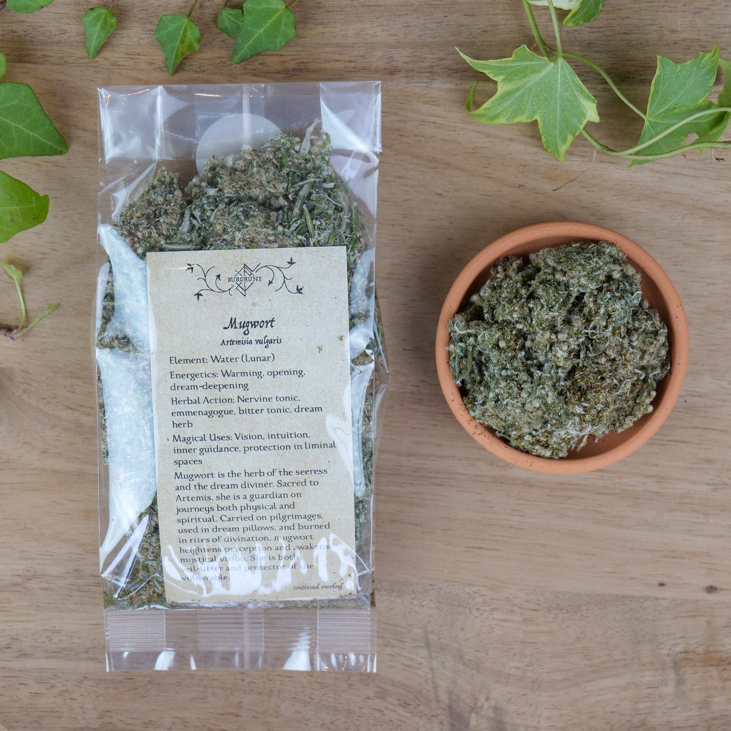 Mugwort (Artemisia vulgaris)