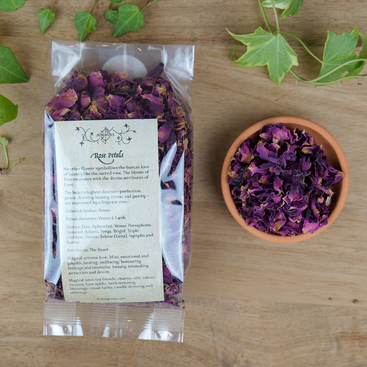 Apothecary Rose (Rosa gallica)