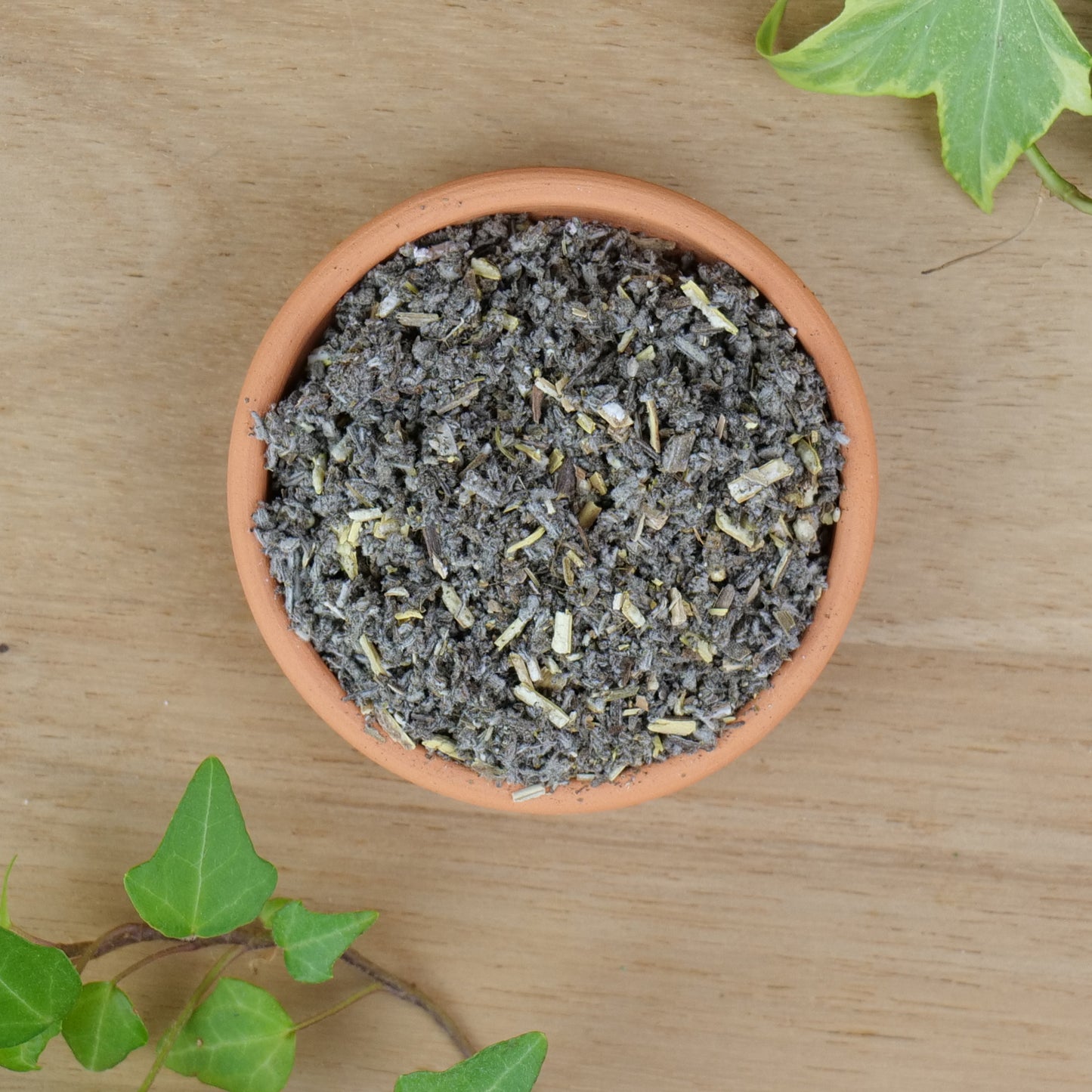 Sage (Salvia officinalis)