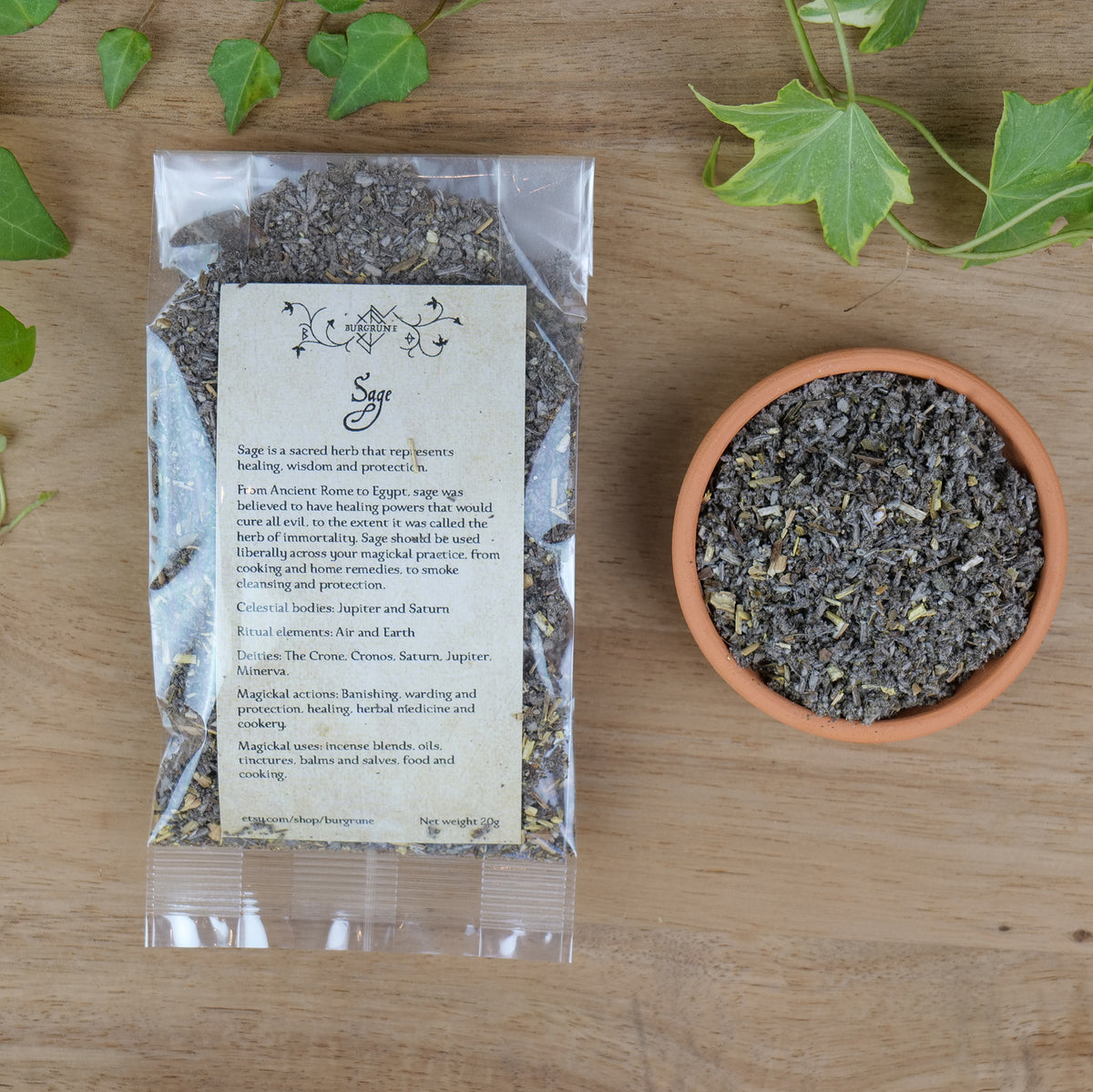 Sage (Salvia officinalis)
