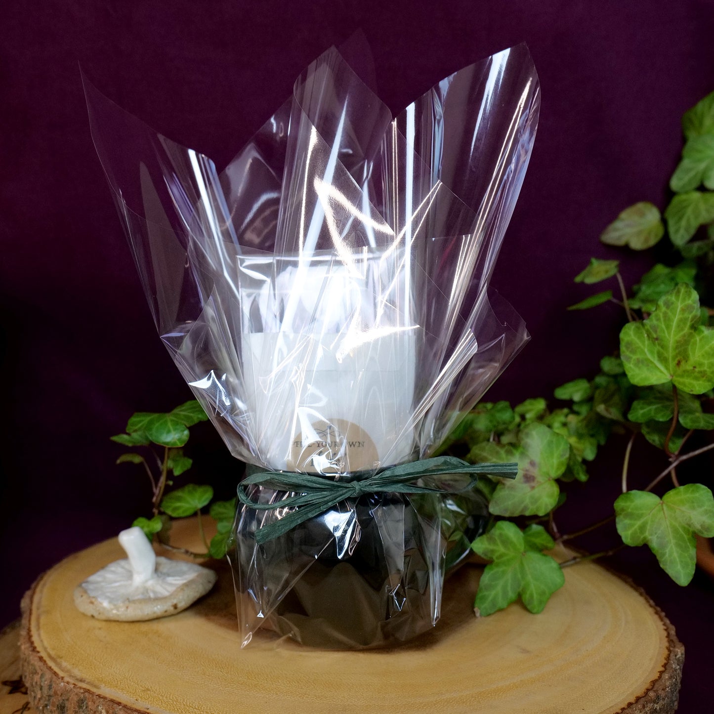 Witchy Brew Herbal Tea Gift Set