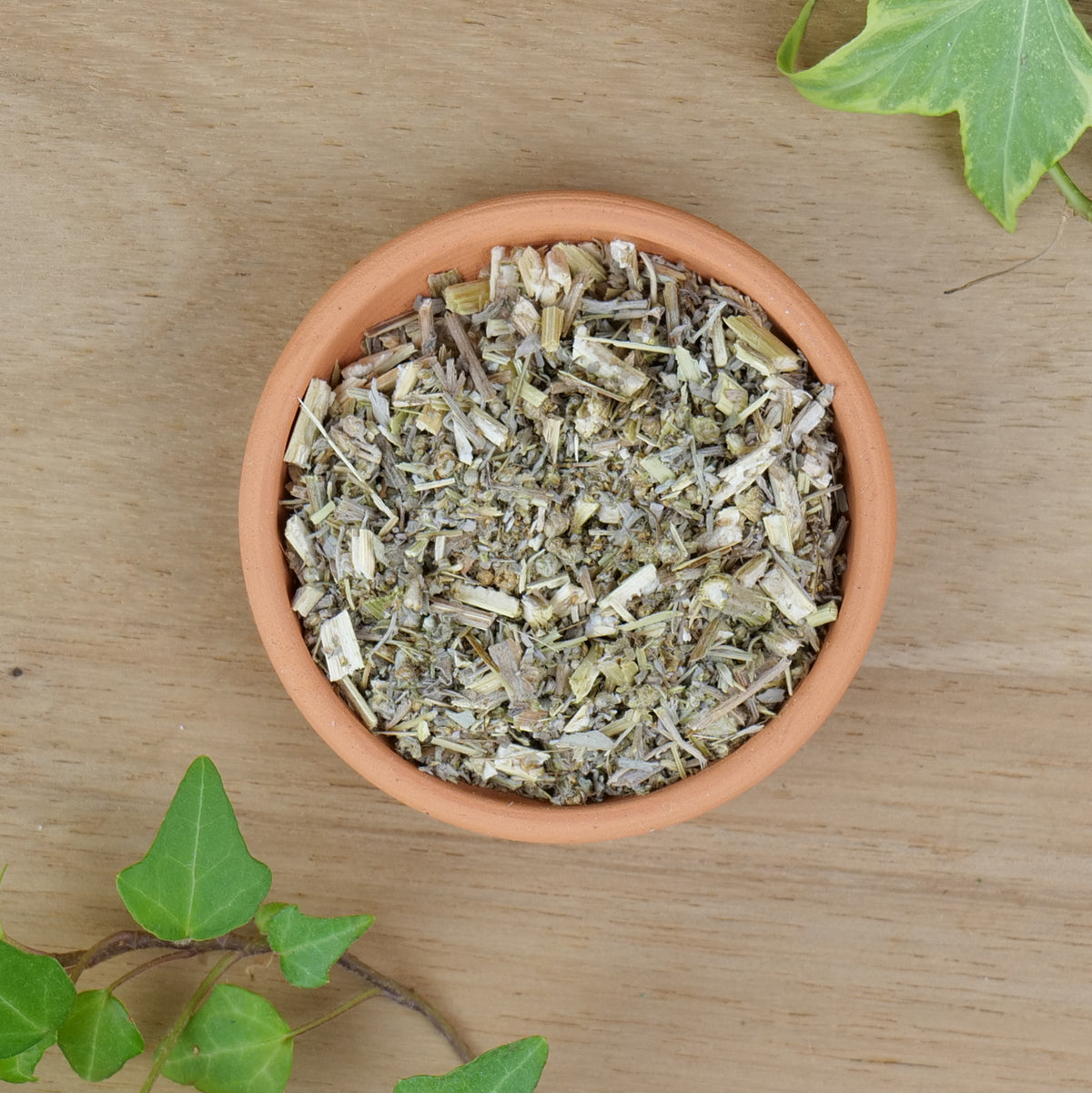 Wormwood (Artemisia absinthium)